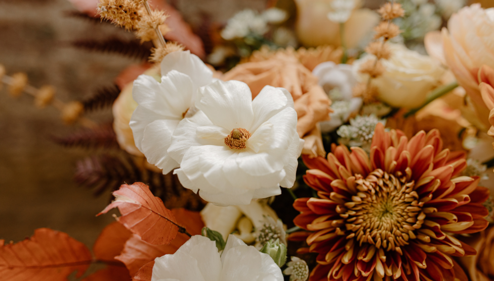 Shalima & Custom Events